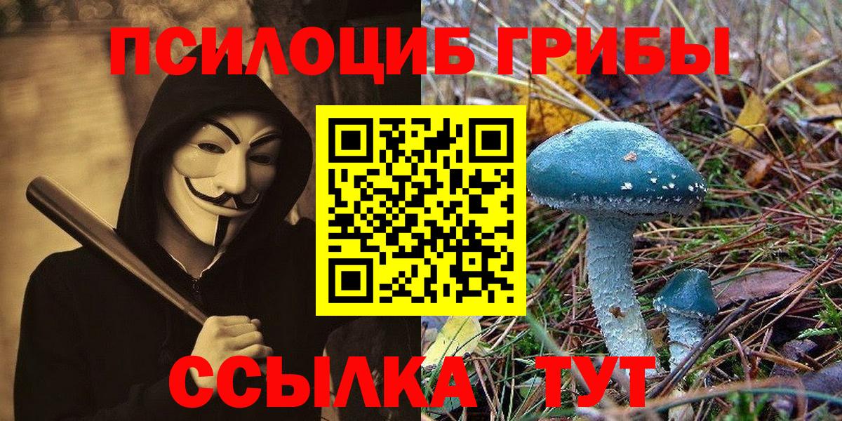 Нижнеудинск  Псилоцибиновые грибы прущие грибы  Вход с VPN 